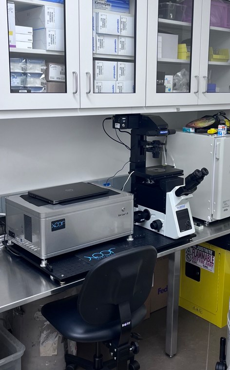 Em-Lux installed in an IVF laboratory