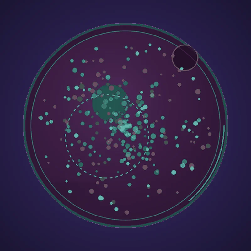 Animated blastocyst showing the trophectoderm, blastocoel and inner cell mass