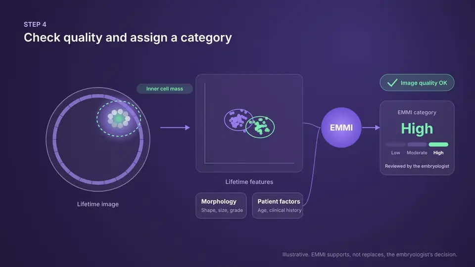 Animation: EMMI locates the inner cell mass, extracts lifetime features, combines them with morphology and patient factors, checks image quality and assigns a category