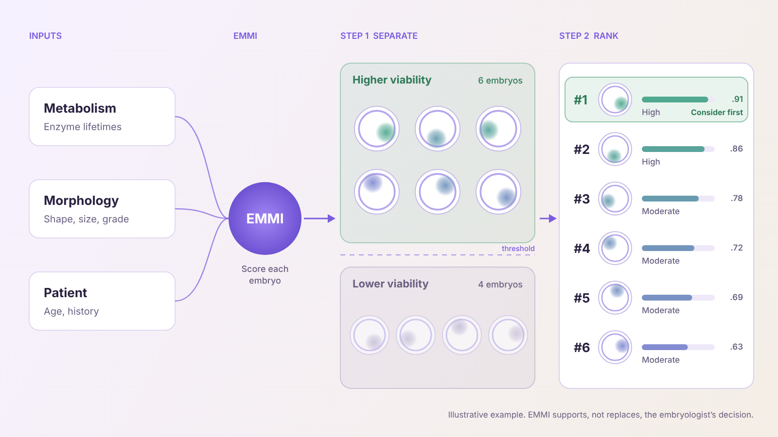 Diagram: EMMI combines metabolism, morphology and patient data, groups embryos by likely viability, then ranks them